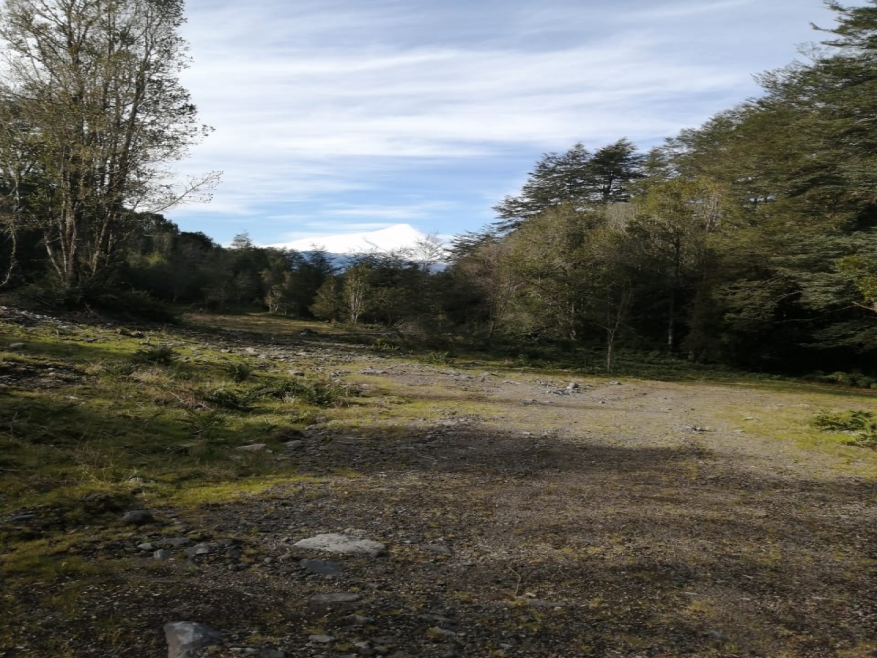 ruta internacional 225 camino a Ensenada, ,Terreno,Venta,1039