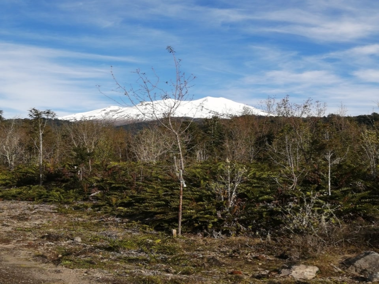 ruta internacional 225 camino a Ensenada, ,Terreno,Venta,1039