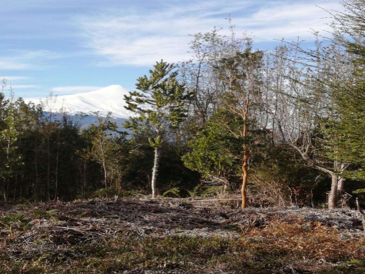 ruta internacional 225 camino a Ensenada, ,Terreno,Venta,1039