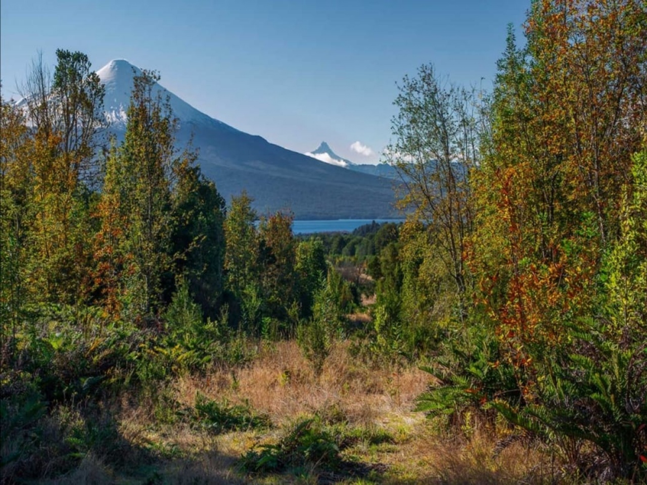 ruta internacional 225 camino a Ensenada, ,Terreno,Venta,1039