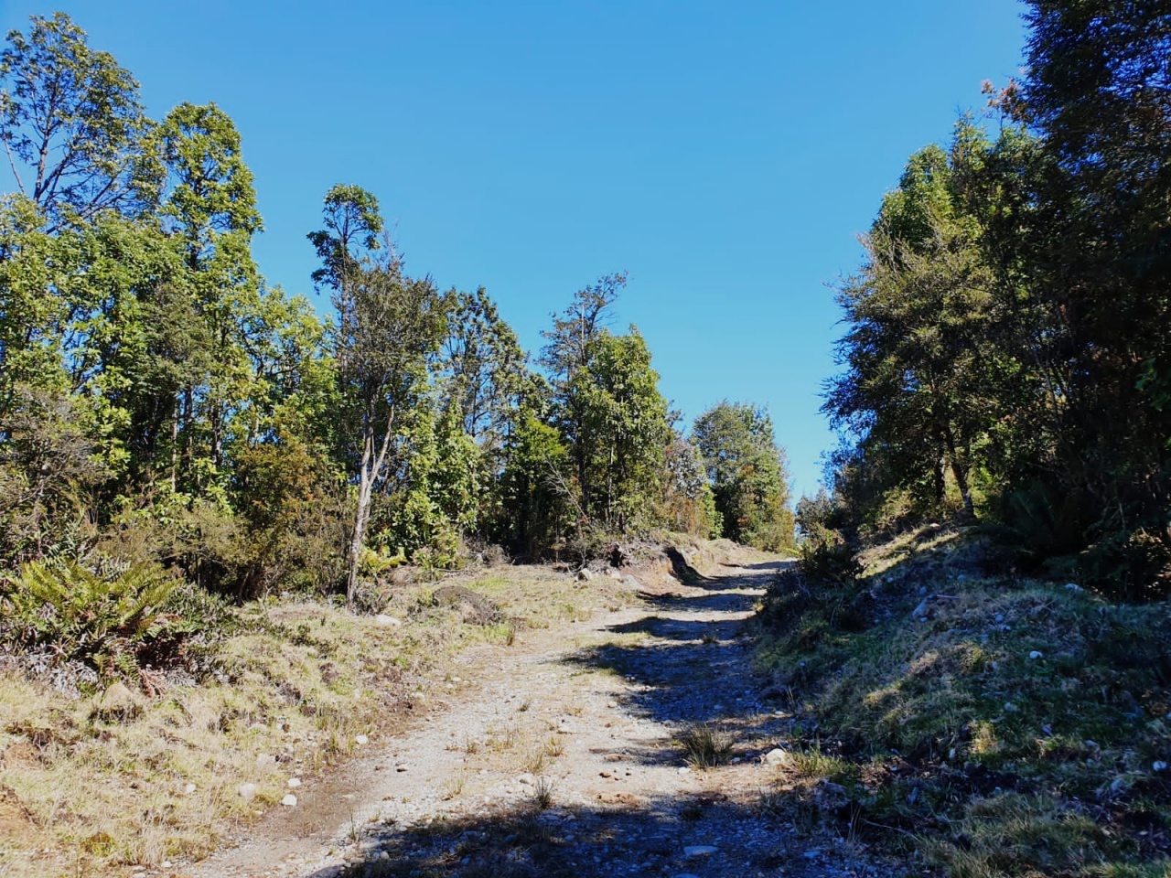 km 11 Ruta V85, Calbuco, 5550000, ,Terreno,Venta,Ruta V85,1048