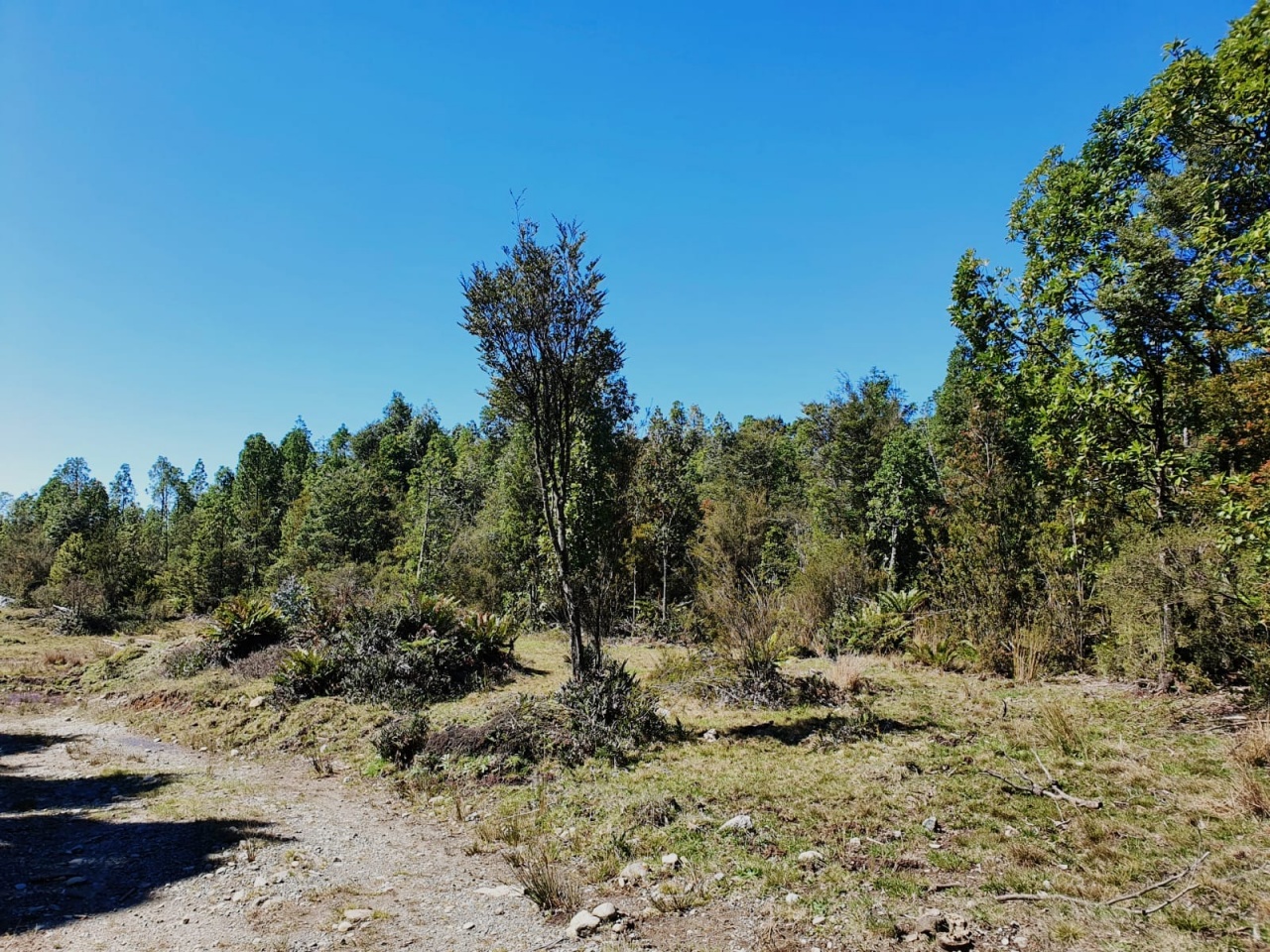 km 11 Ruta V85, Calbuco, 5550000, ,Terreno,Venta,Ruta V85,1048