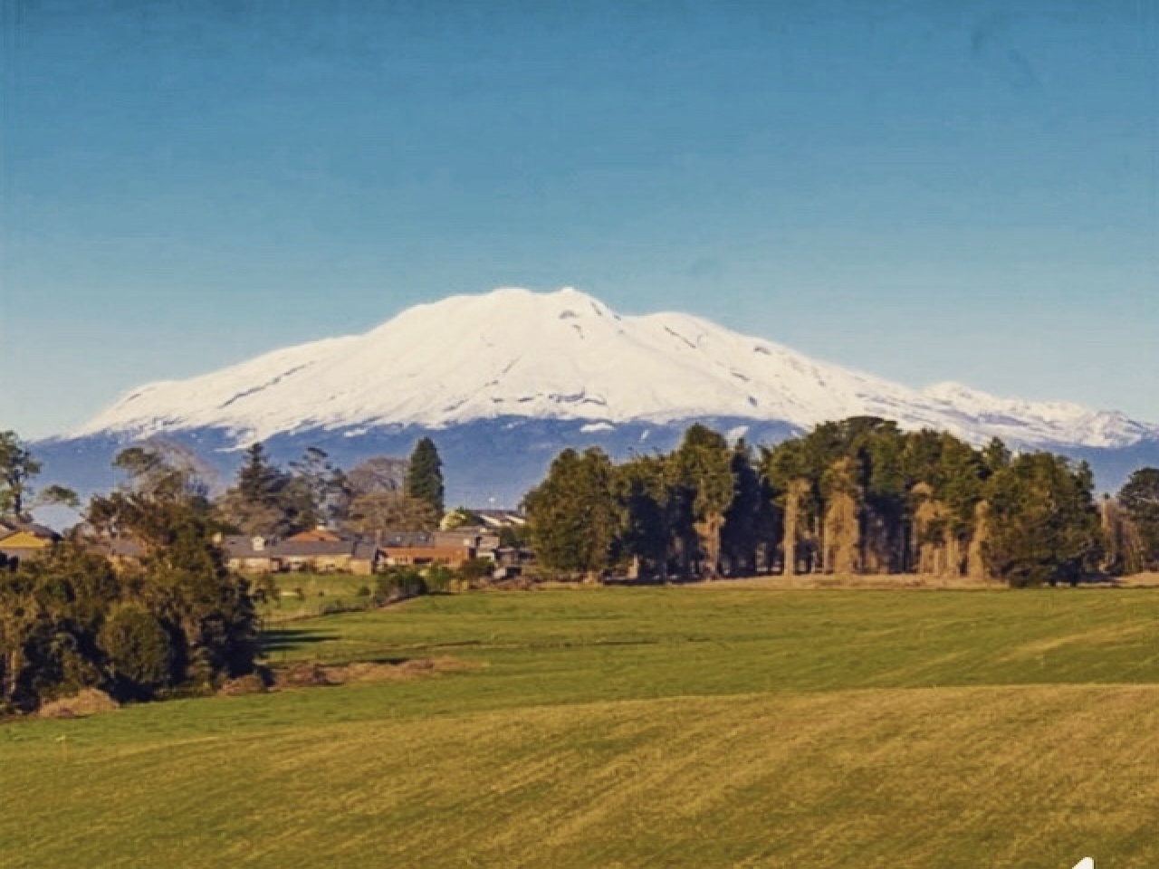 Ruta V505, Puerto Varas, 5550000, ,Terreno,Venta,Ruta V505,1051