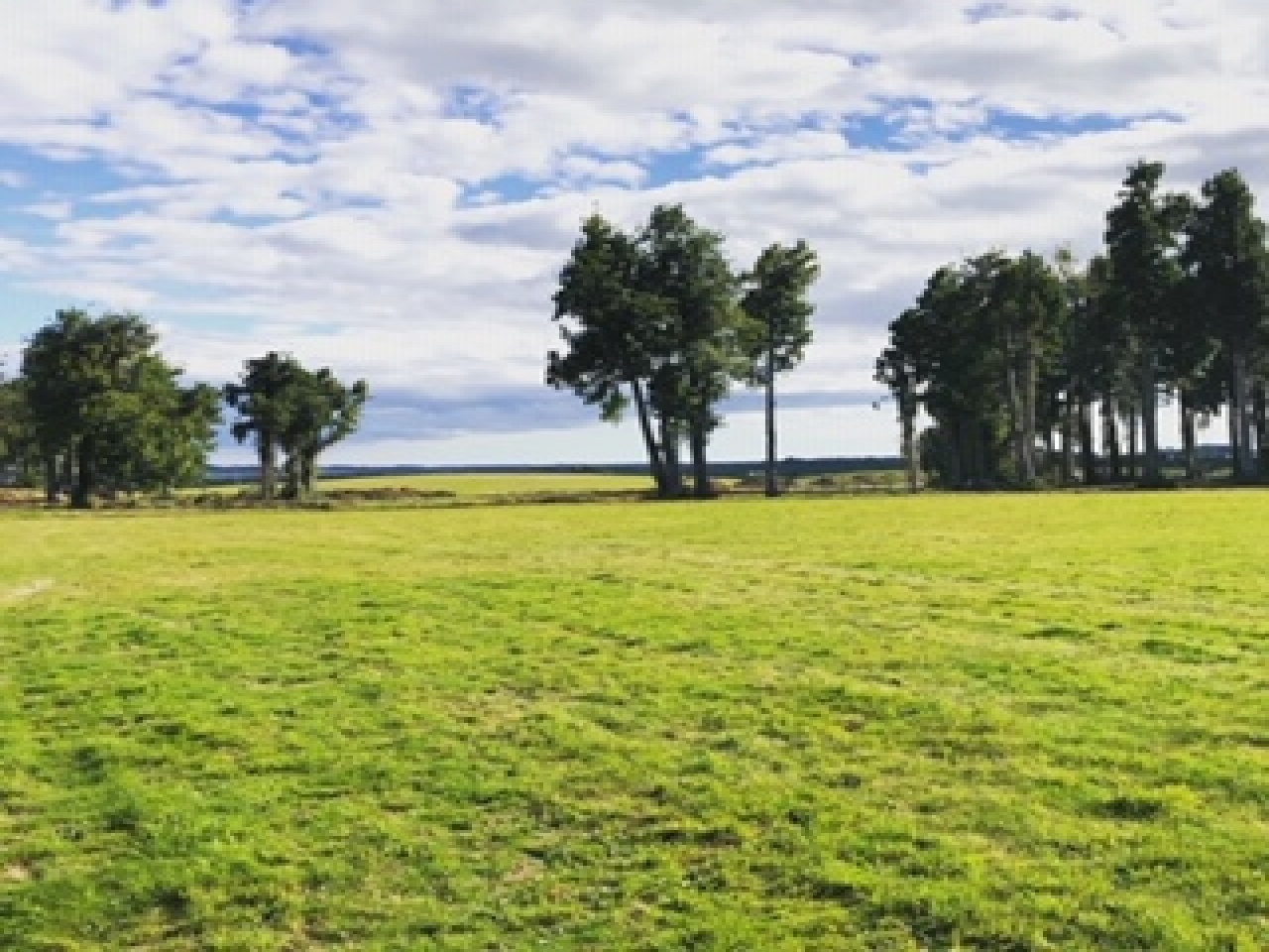 Ruta V505, Puerto Varas, 5550000, ,Terreno,Venta,Ruta V505,1051